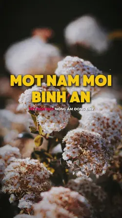 2 ảnh tết