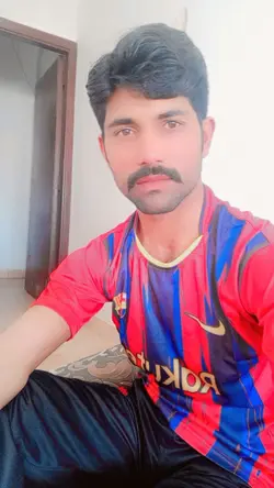 Shah g Punjabi stats