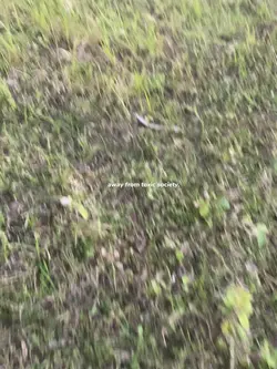 Nature vibes 