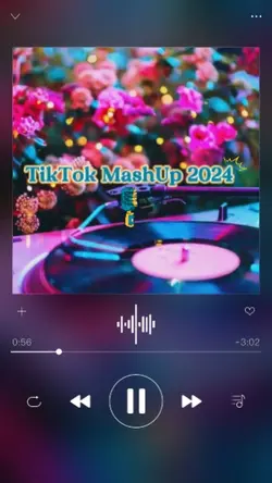 TikTok MashUp 2024