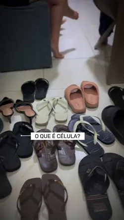 Célula 🤍
