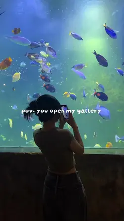 you open my gallery