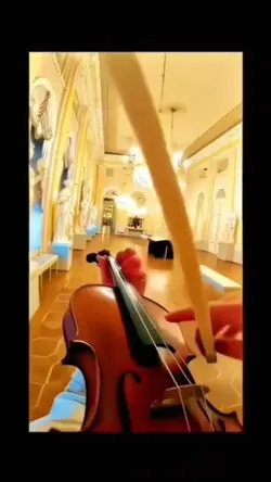 Violin 🔥🔥