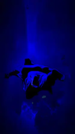 my magical