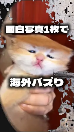 面白ネタ動画
