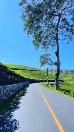 road trip