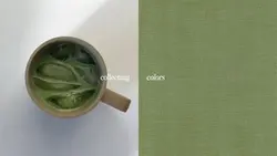 collecting colors 