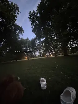 the little things 