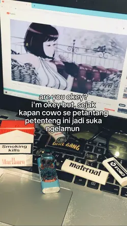 story wa 