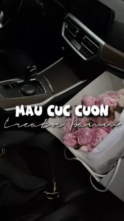 2 ảnh cuốn