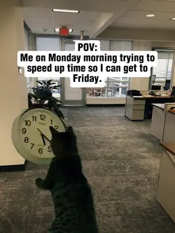Cat and Clock Meme