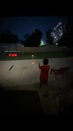 YOLO 