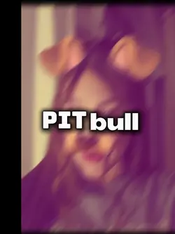 Pitbull😡 terrier😝