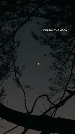 Night aesthetic