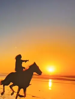 horse