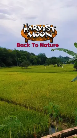 Harvest Moon