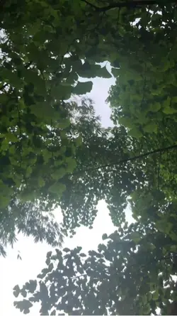 白黒の瞬間
