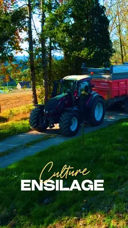 AgriVibes
