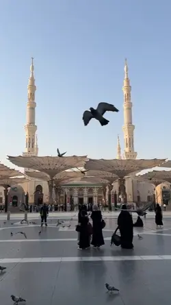 Cinematic islami