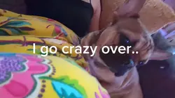 crazy over him
