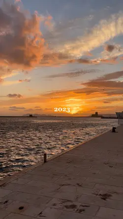 2023 montage