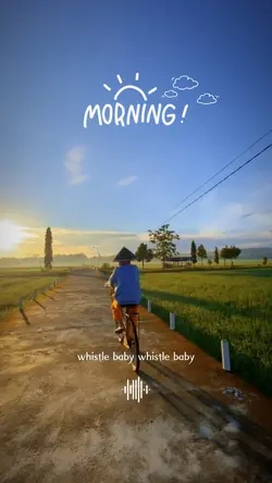 morning