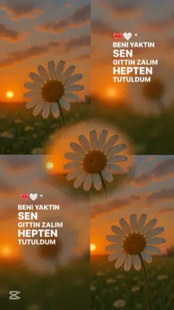 Yazın ortasında