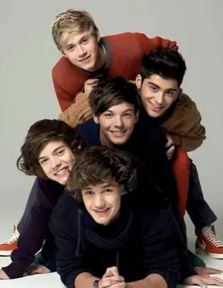one direction 