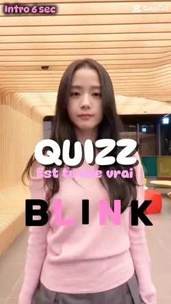 Est tu une BLINK ?🖤💗