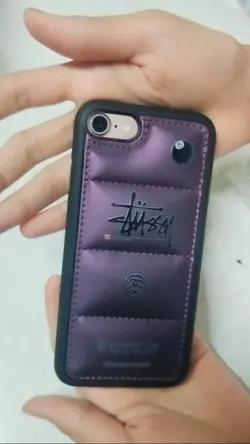 Apple case
