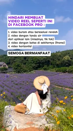 reels edukasi fbpro 
