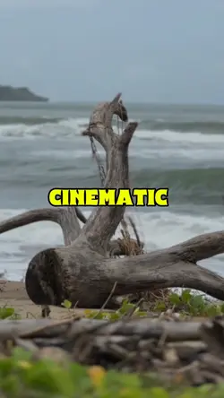 8KLIP CINEMATIC 