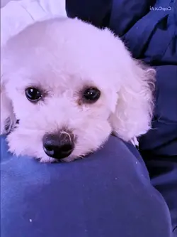 僕のお目々にはママがいる❣️