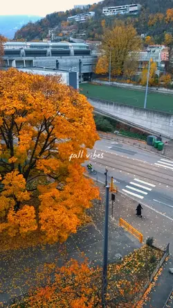 fall vibes