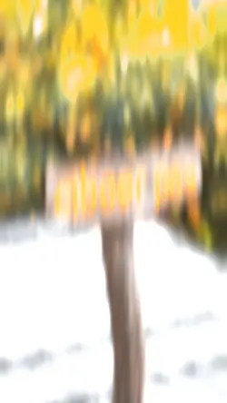 TENPA TEKS OVERLAY