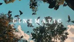Cinematic Story