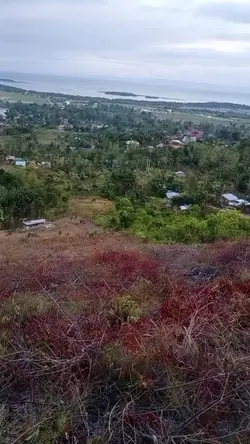 Nice view