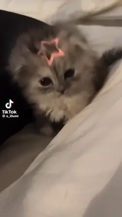 1 video 30 ảnh