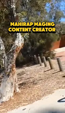 content creator 