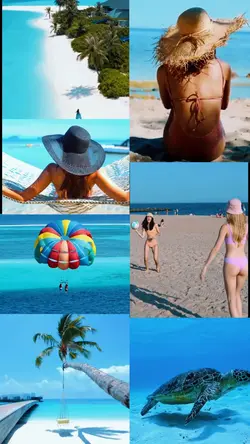 Summer, sun, and fun