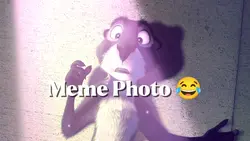 Meme photo 