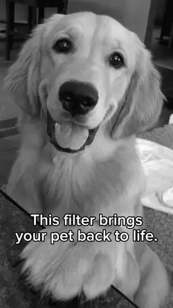 Alive Through Filter