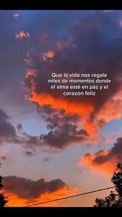 frases
