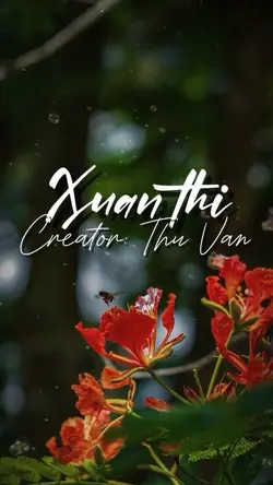 Tình buồn không phải