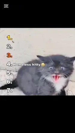 Rating funny videos