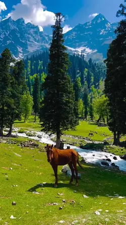 Nature🦋☁️🏇