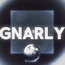 everything gnarly  