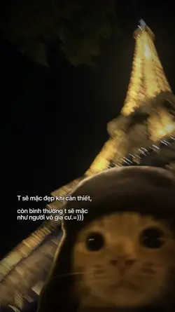Caption hài