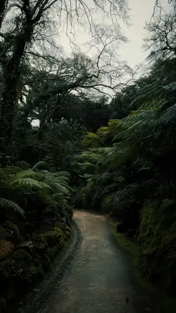 aesthetic nature