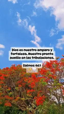 nuestro amparo